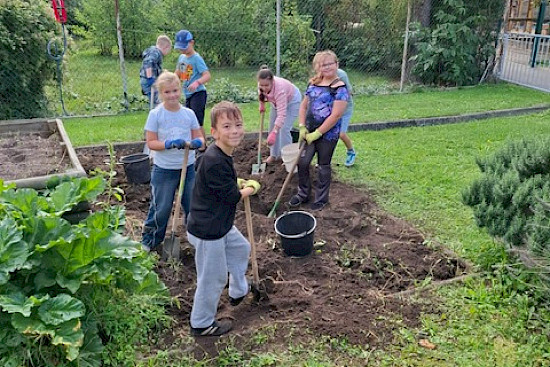 Unsere fleißigen Schulgärtner ernten